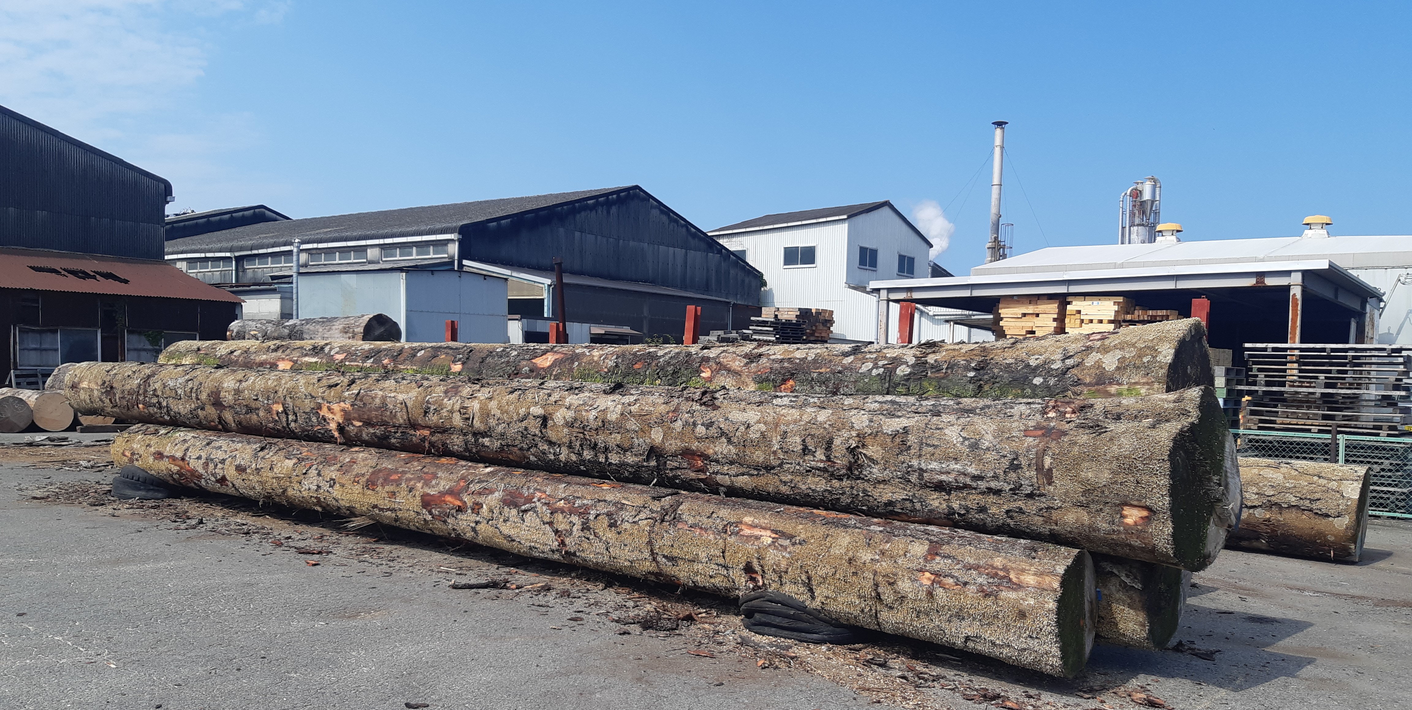 �܂邽����